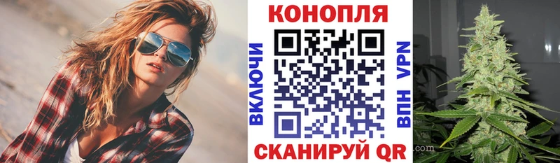 где продают   Нарткала  Каннабис индика 